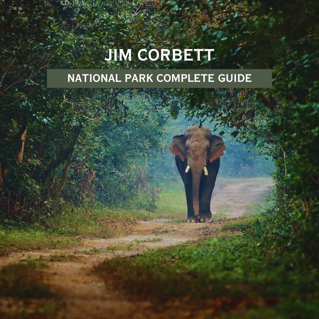 Jim Corbett travel guide